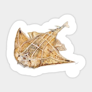 Angel shark Sticker